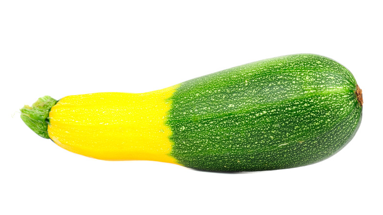 Closeup zephyr squash