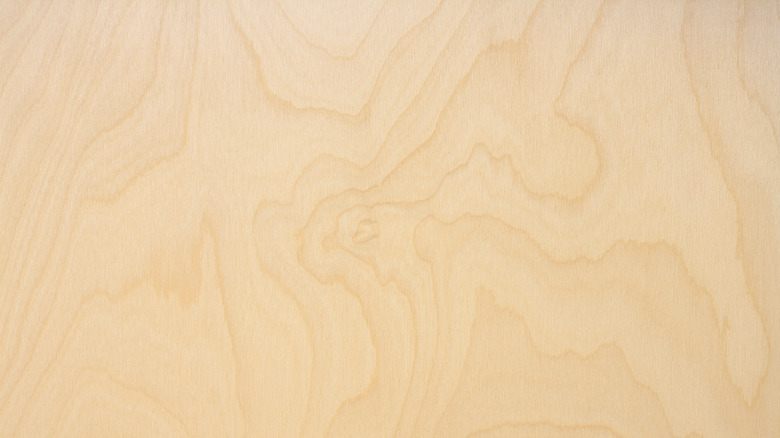 birch plywood with natural texture