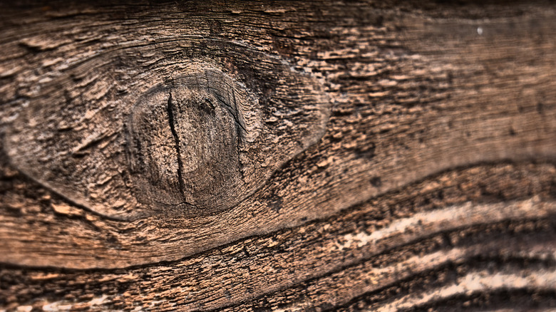 cedar wood plank rough texture