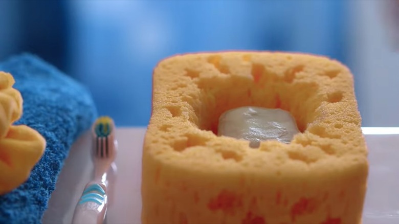 bar of soap inside sponge