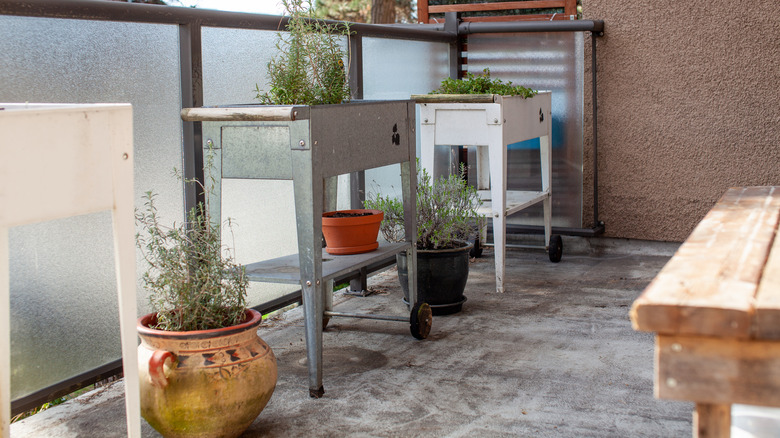 galvanized metal cart with plants
