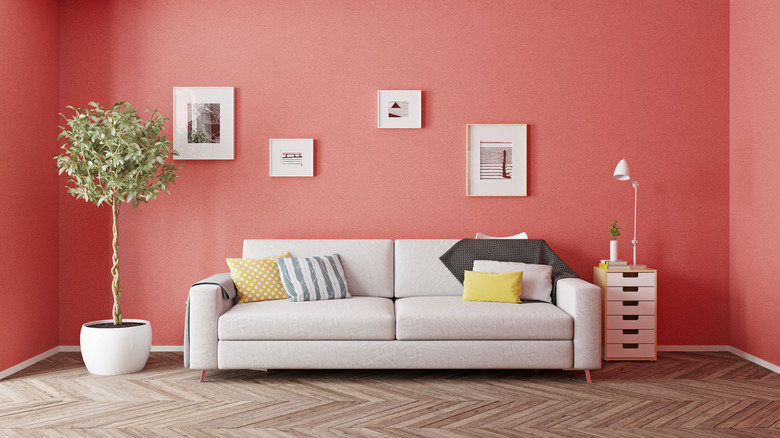 Pink coral wall in room