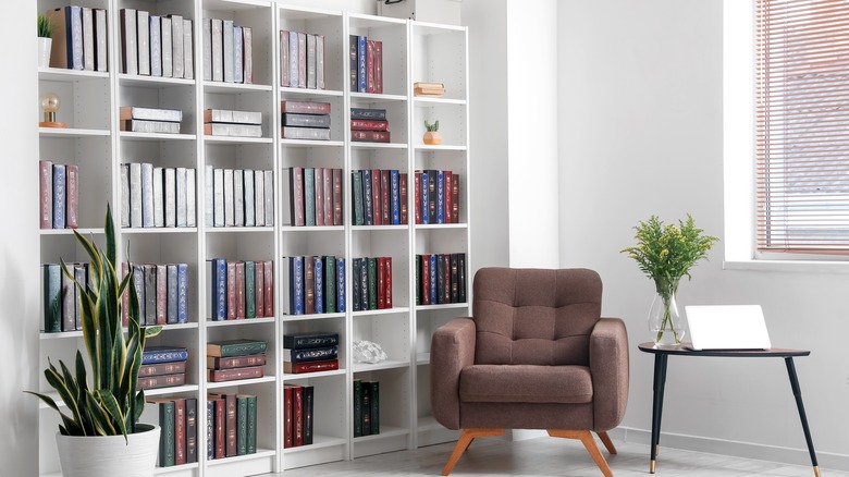 white shelves with colored books