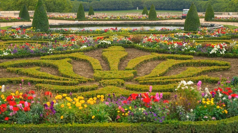 Versailles flower beds