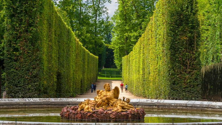 Symmetric, towering hedges