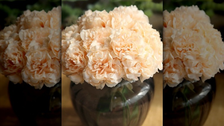 Peonies in a vase