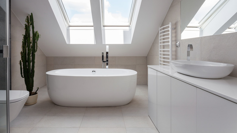 two skylights over bathtub