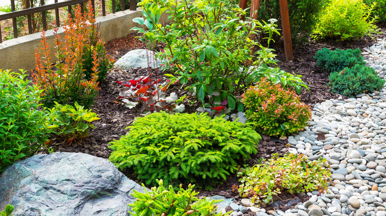 15 Ways To Landscape Your Yard On A Budget