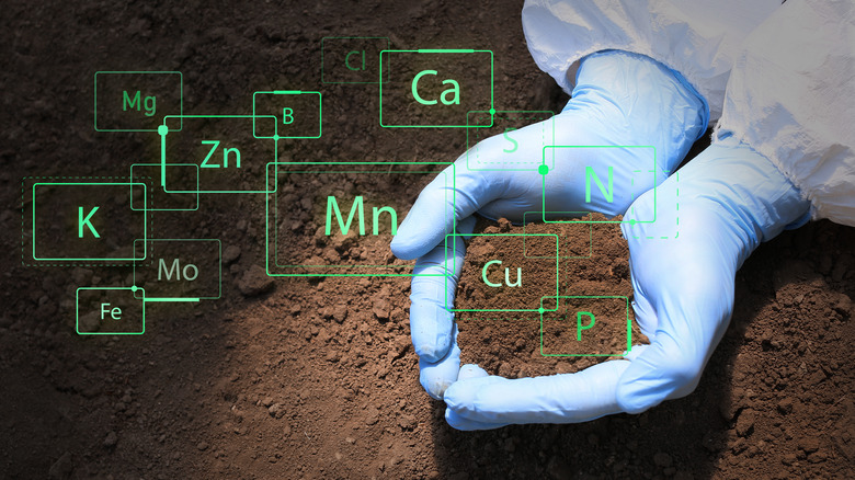 soil sampling