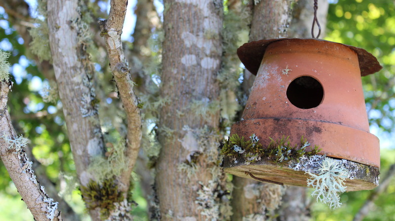 clay pot birdhouse