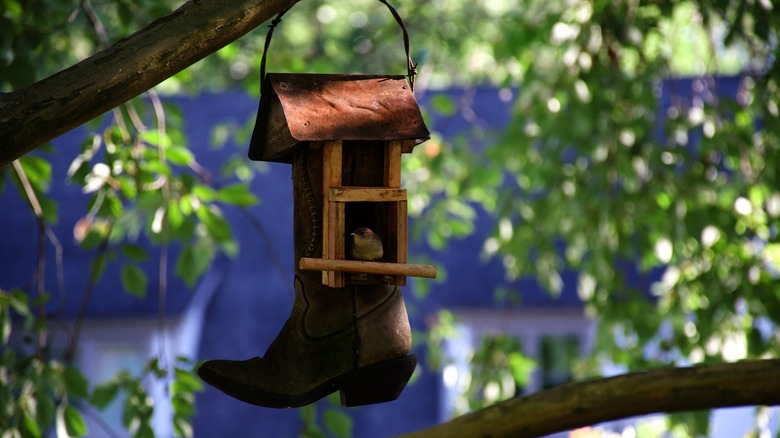 bird in cowboy boot birdhouse
