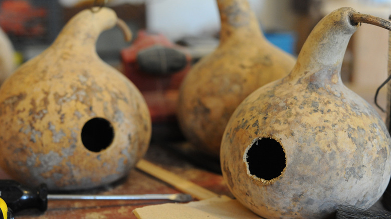 birdhouses made from gourds