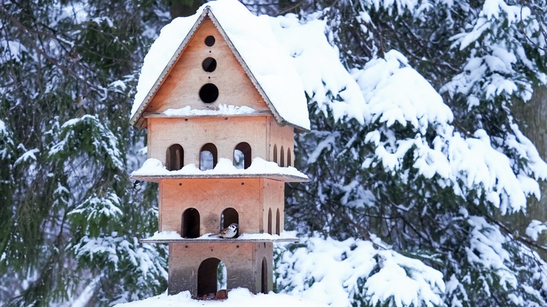 birdhouse with many holes