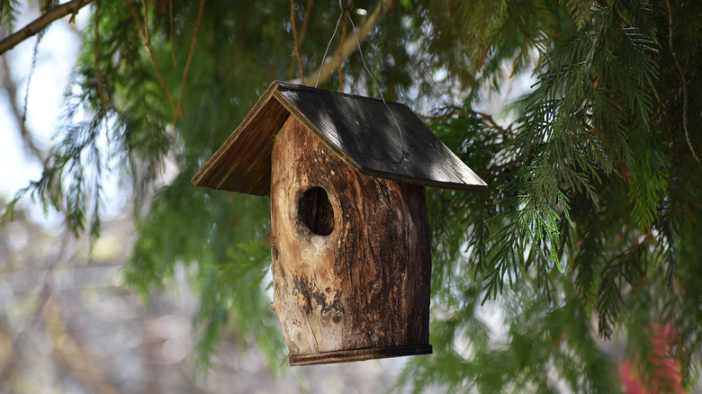 log birdhouse