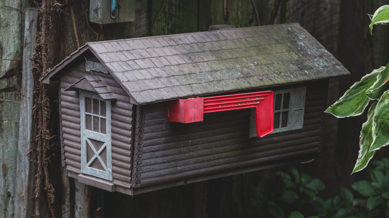 mailbox birdhouse