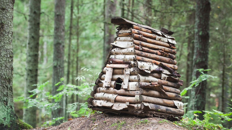 birdhouse made out of sticks