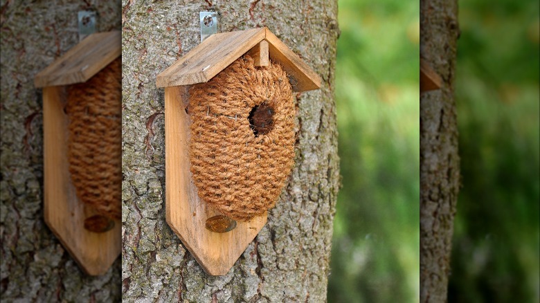 twine birdhouse on wood