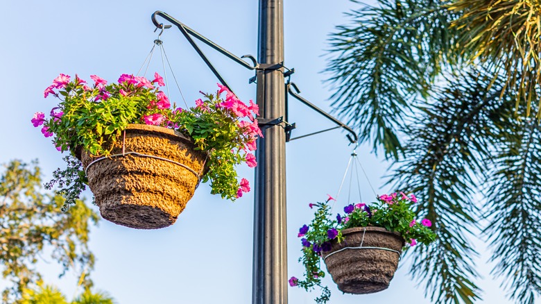 hanging planters on post