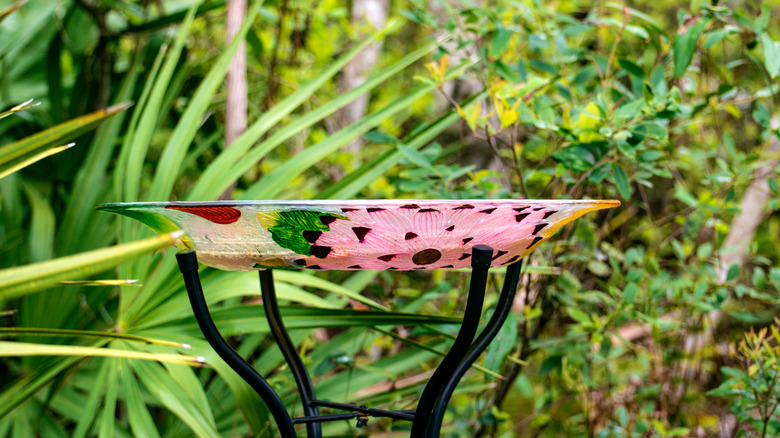 glassware bird bath