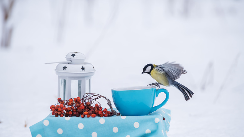 bird on blue tea cup