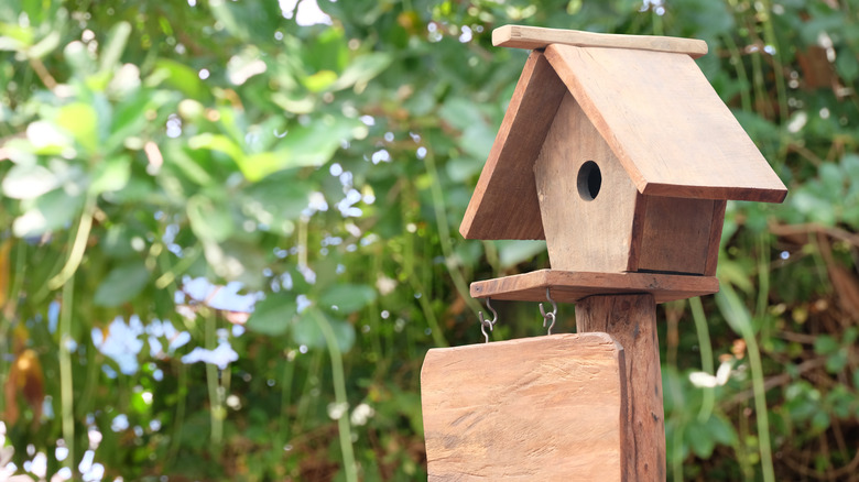 wooden bird feeder on post