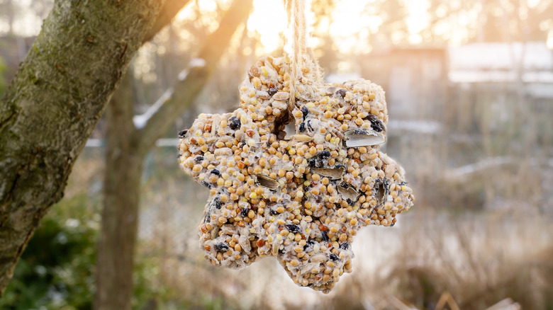 homemade bird feeder