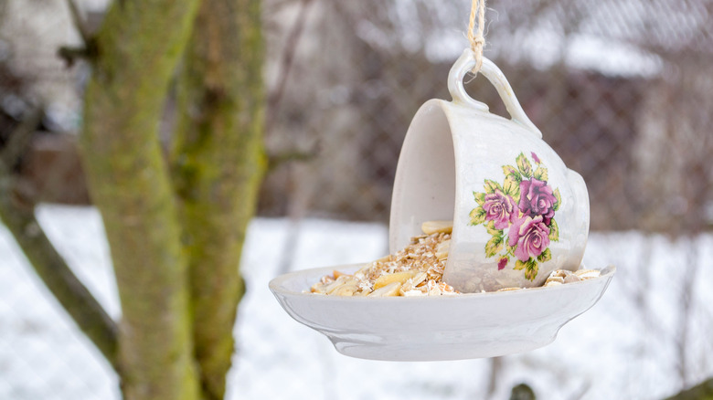 cup and saucer bird feeder