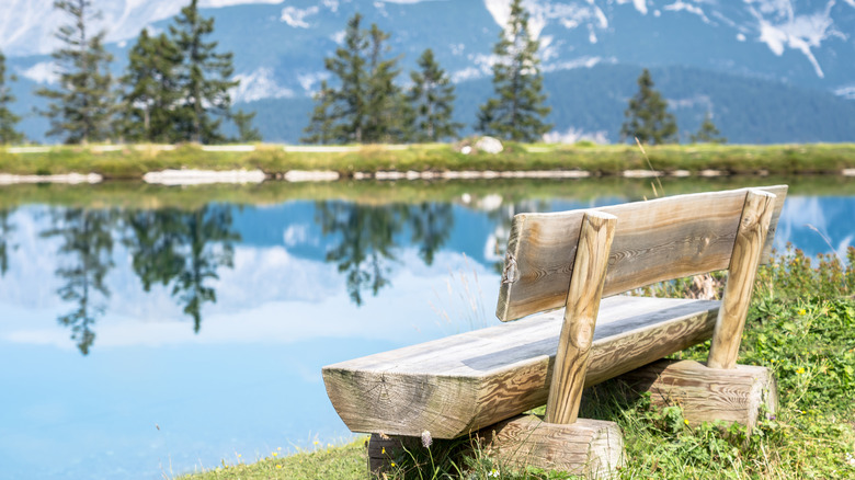 outdoor log bench by lake