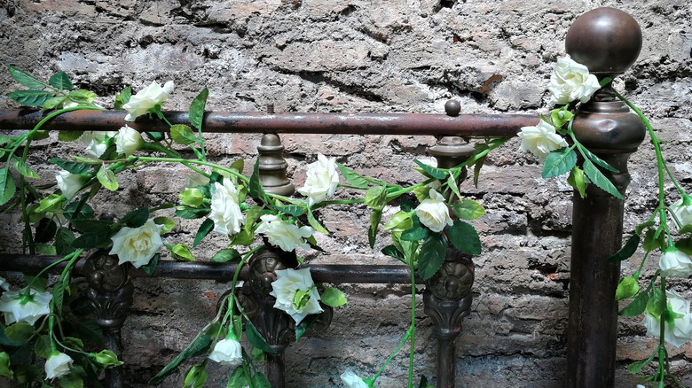 iron bed outside with vines