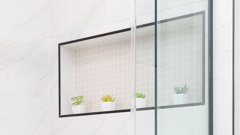 Plants in a shower niche