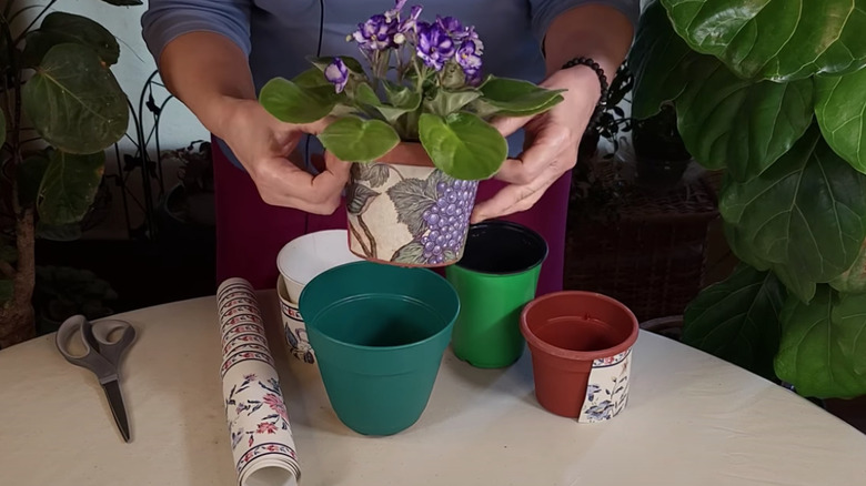 person covering planter in wallpaper