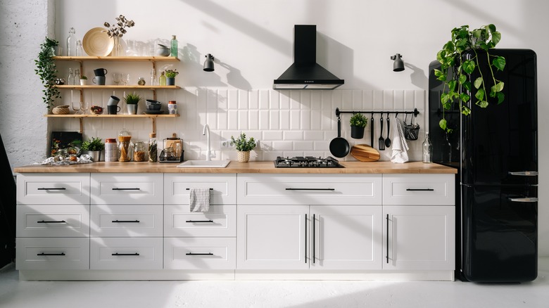 white kitchen with plants