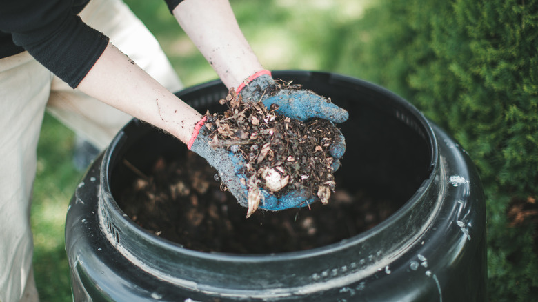 fresh compost pile