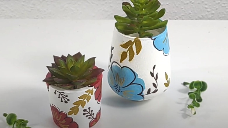 painted succulent planters