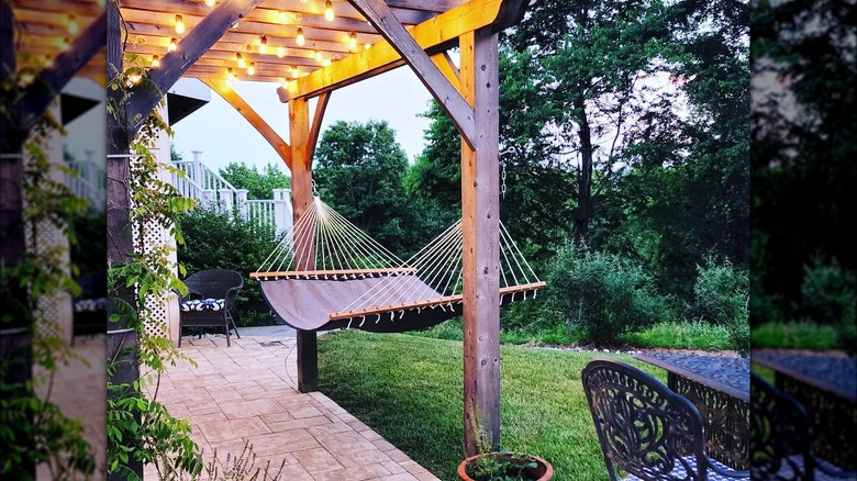 Hammock in yard