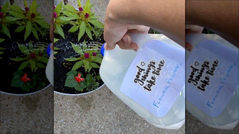 diy jug watering can