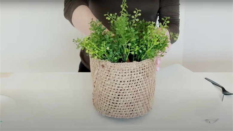 rattan wrapped plant pot