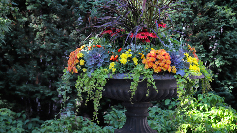 Large, outdoor planter with flowers