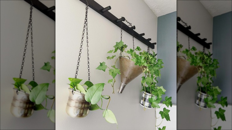 metal funnel hanging planter