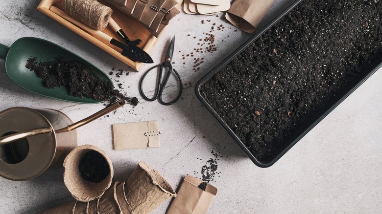 tools and materials gathered for seed sowing