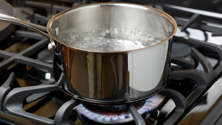 pot of boiling water on stove