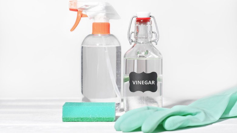 bottle of vinegar with cleaning supplies