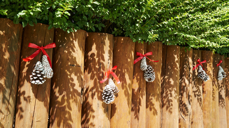 Pine cones hanging from fence with bows