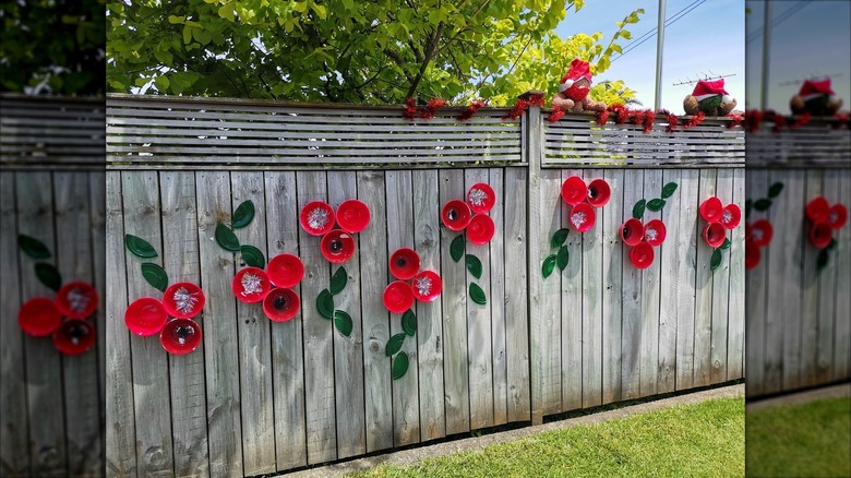 Holly berries and leaves decoration on wooden fence