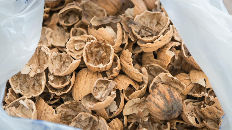 Walnut shells in bag