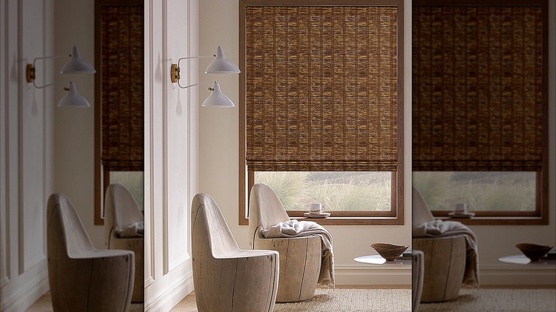 Textured Roman shades on a window