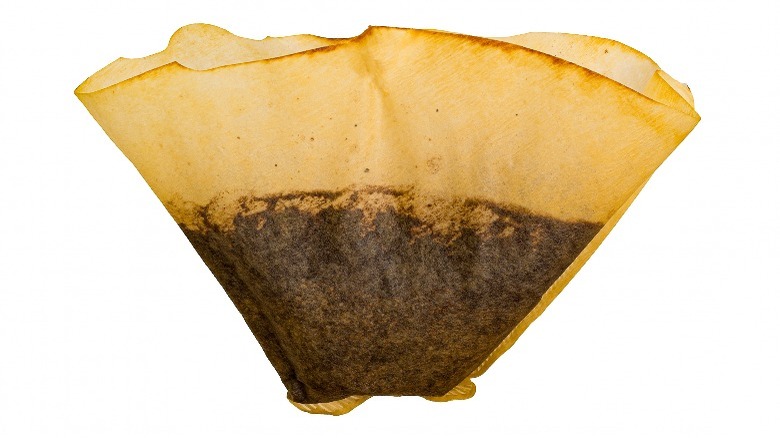 Used coffee filter