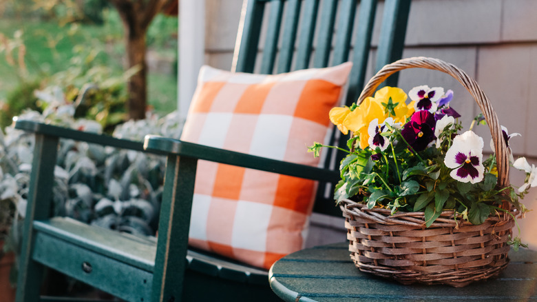 Pansies growing in small container