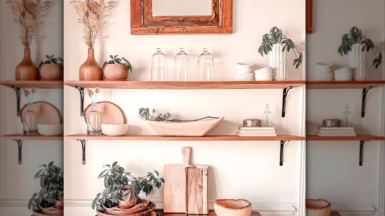 plants and decorations on shelves