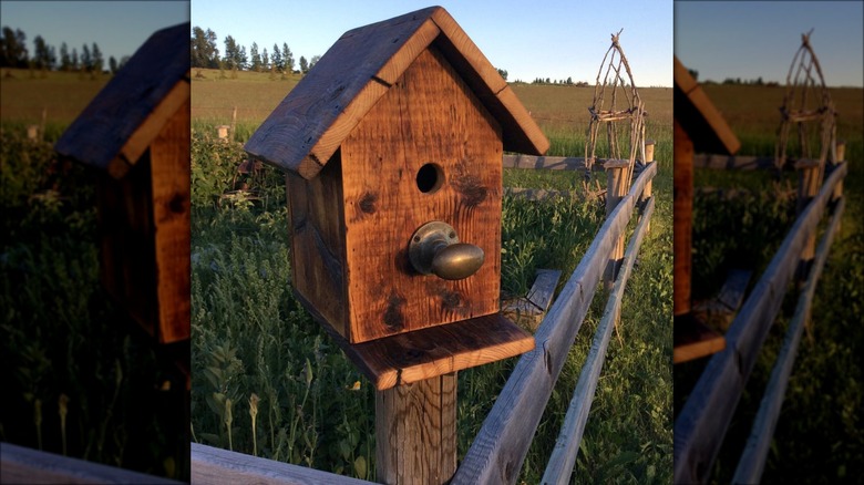 birdhouse with brass handle perch